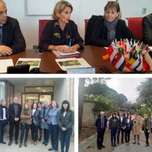 comite-2019 comite-2019